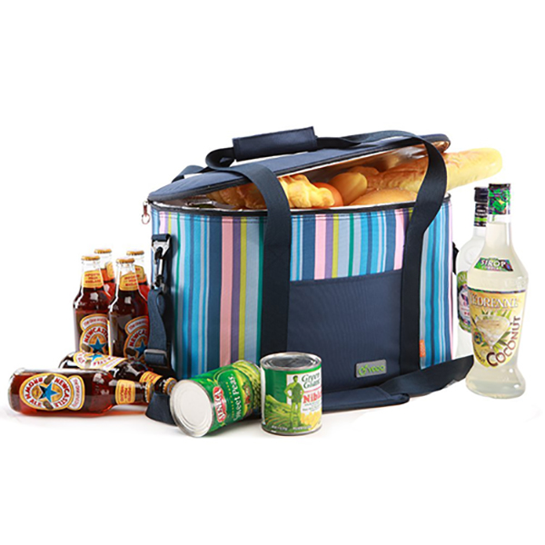 25L Large Cooler Bags Insulated Up to 4 Hours
